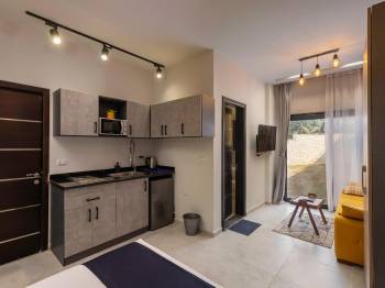 Studio with Garden View5
